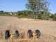 NW_Open_Space_0516-08-thumbnail.jpg