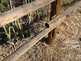 NW_Open_Space_0516-10-thumbnail.jpg