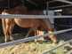 NW_Open_Space_0516-24-thumbnail.jpg
