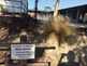 NW_Open_Space_0516-26-thumbnail.jpg