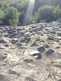 NW_Open_Space_0516-30-thumbnail.jpg