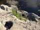 NW_Open_Space_0516-32-thumbnail.jpg