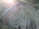 NW_Open_Space_0516-35-thumbnail.jpg