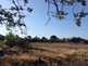 NW_Open_Space_0516-36-thumbnail.jpg
