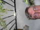 cool_spiders_2017-07-08_5-Argiope_argentata-thumbnail.jpg