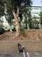weird_stuff_in_South_OC_2017-05-26_02-thumbnail.jpg