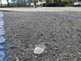 weird_stuff_in_South_OC_2017-05-26_07-thumbnail.jpg
