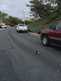 weird_stuff_in_South_OC_2017-05-26_11-thumbnail.jpg