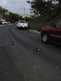 weird_stuff_in_South_OC_2017-05-26_12-thumbnail.jpg