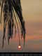 Red_Red_Sun-1-thumbnail.jpg