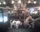 BHDEFCON06-0803-24-thumbnail.jpg