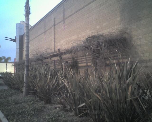 20070128a-Tower_Laguna_Hills-Treo-29.jpg