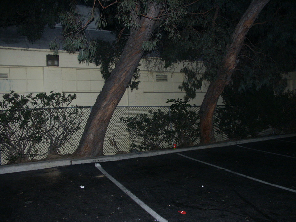 20070128c-Tower_Costa_Mesa-Minolta-07-large.jpg