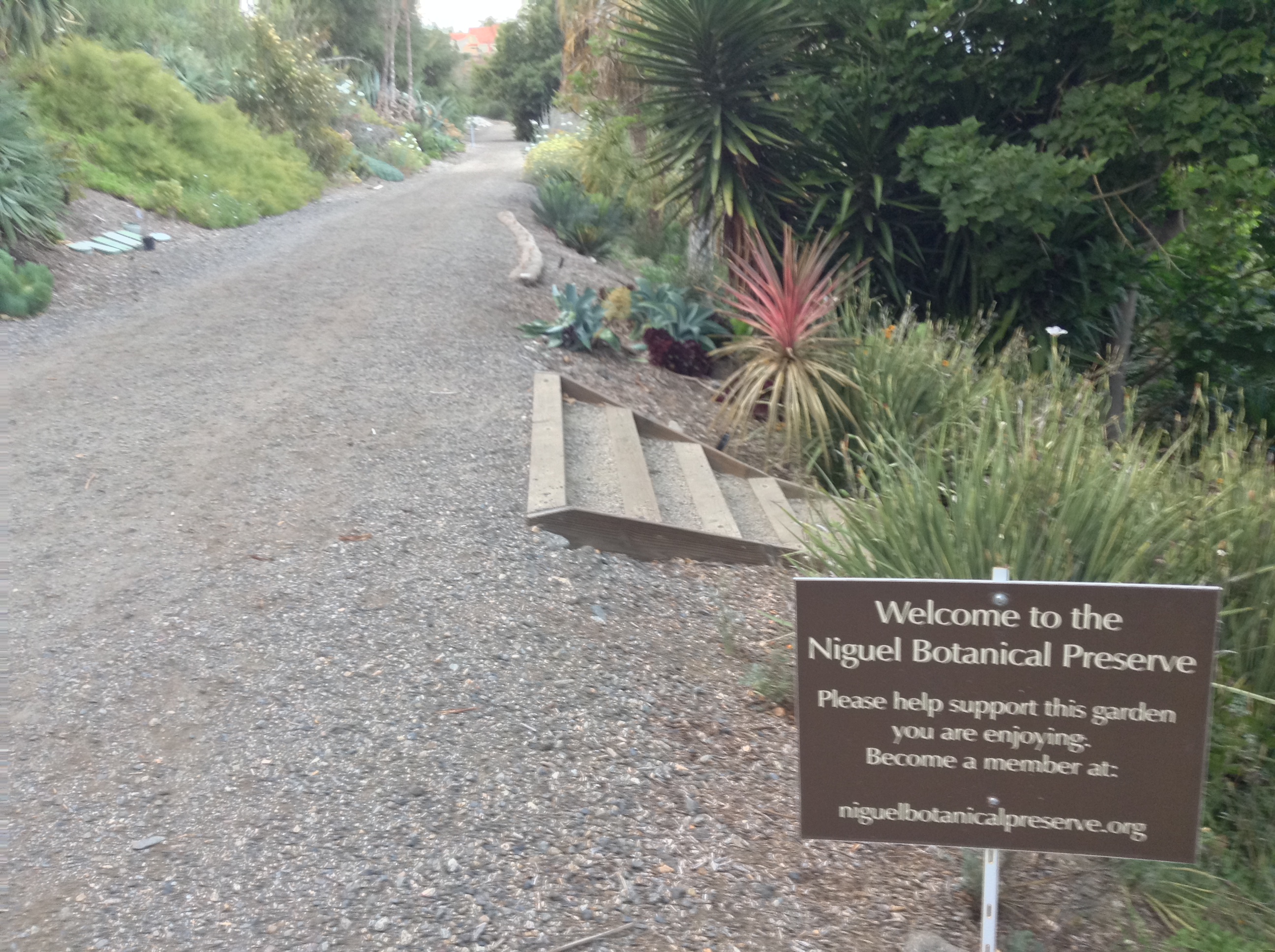 Niguel_Botanical_Preserve_0516-026-full-size.jpg