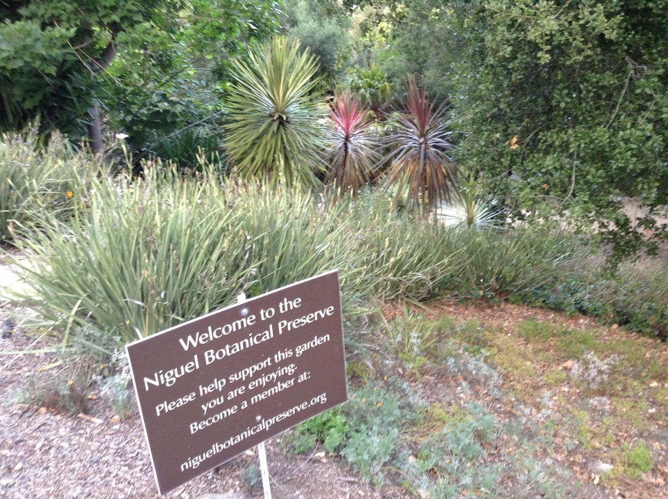 Niguel_Botanical_Preserve_0516-027-large.jpg