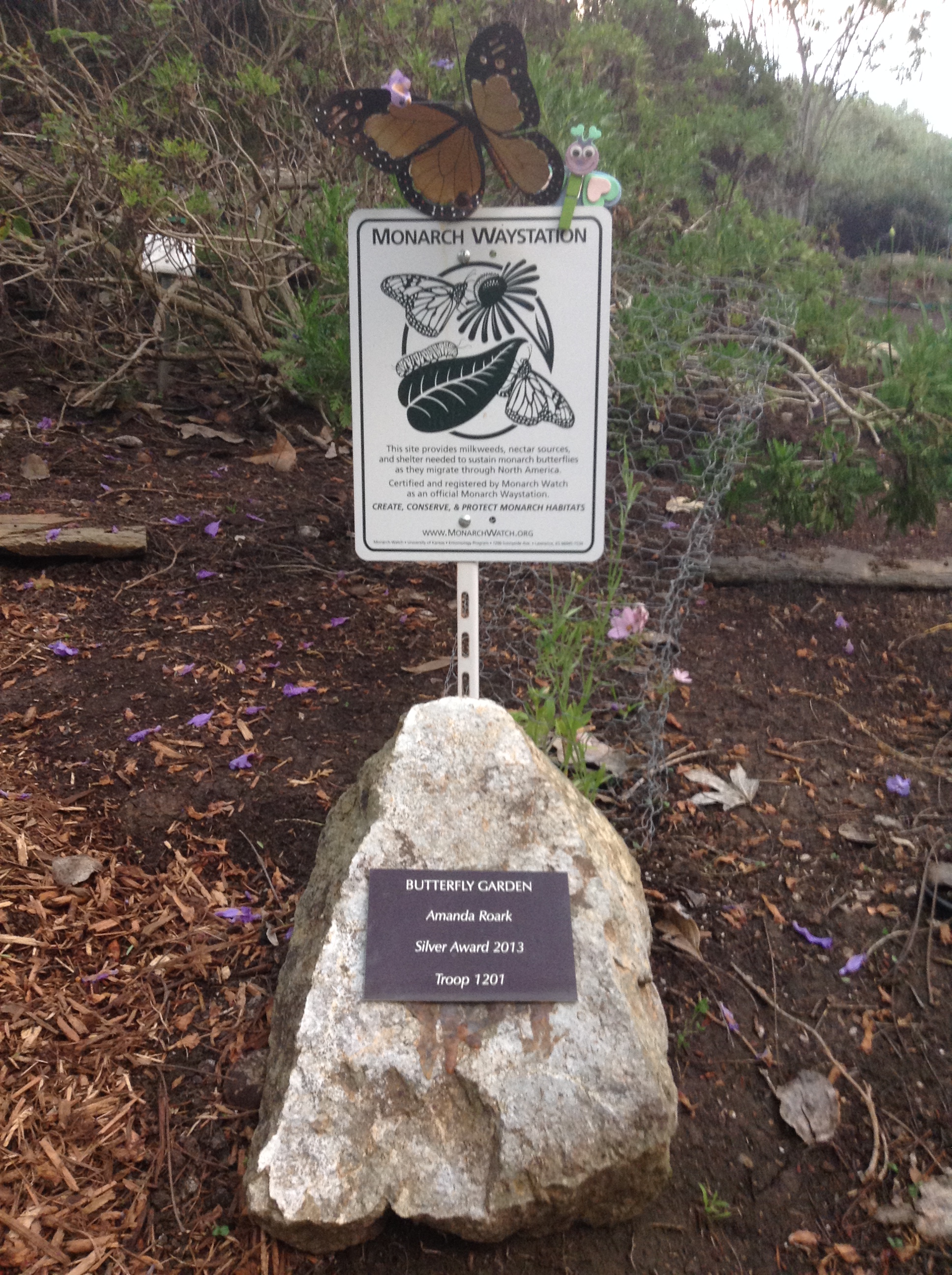Niguel_Botanical_Preserve_0516-054-full-size.jpg