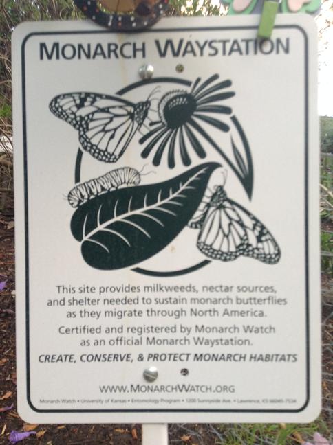 Niguel_Botanical_Preserve_0516-055.jpg