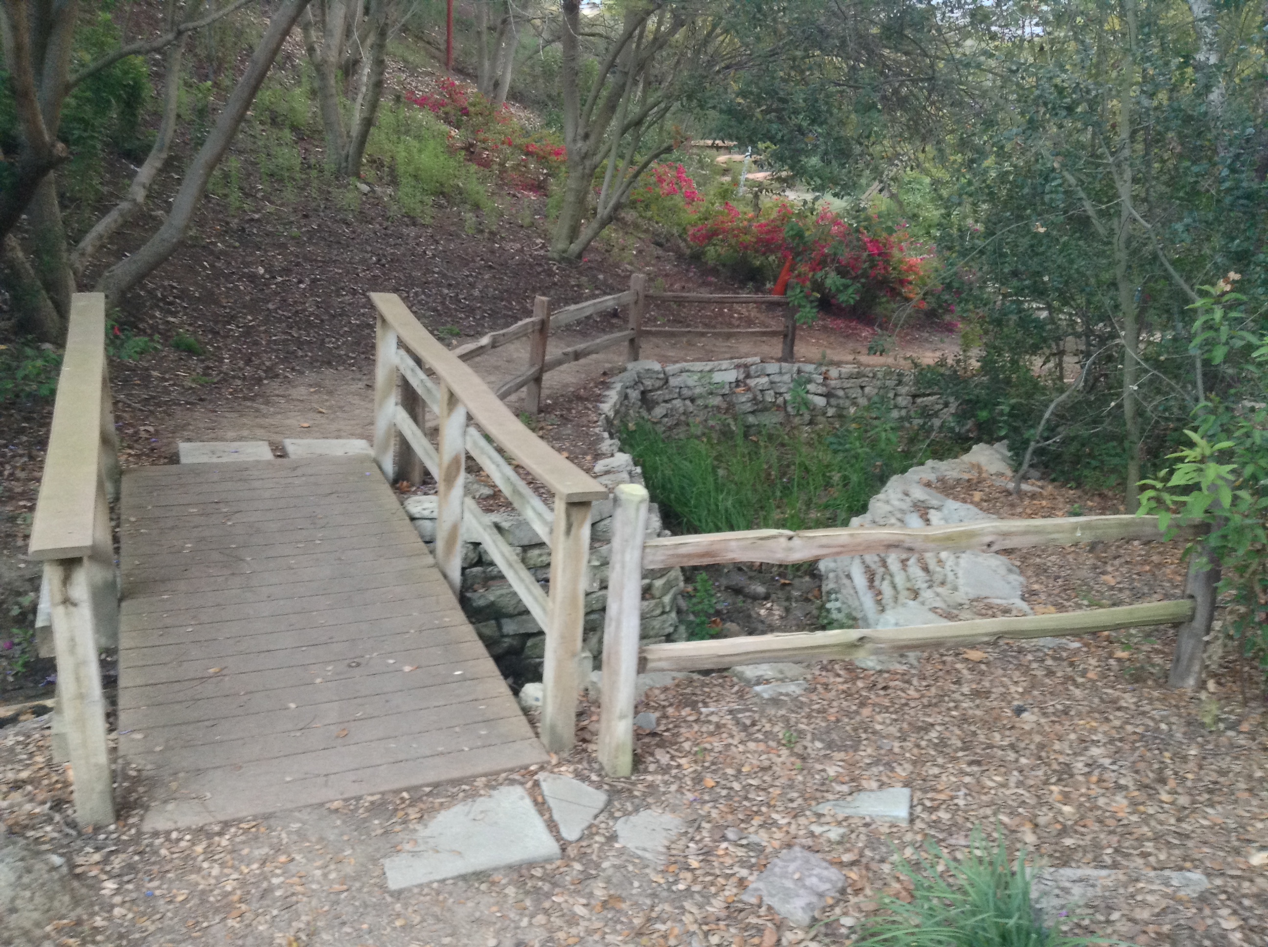Niguel_Botanical_Preserve_0516-057-full-size.jpg