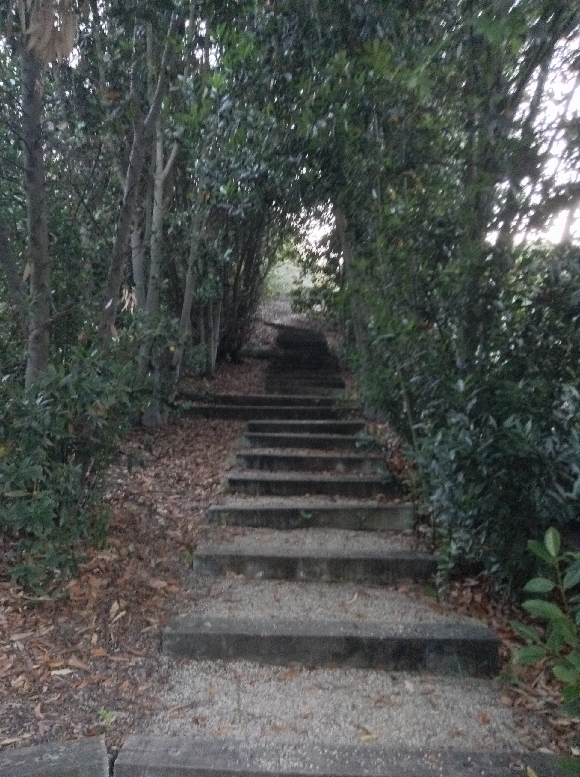 Niguel_Botanical_Preserve_0516-086-full-size.jpg
