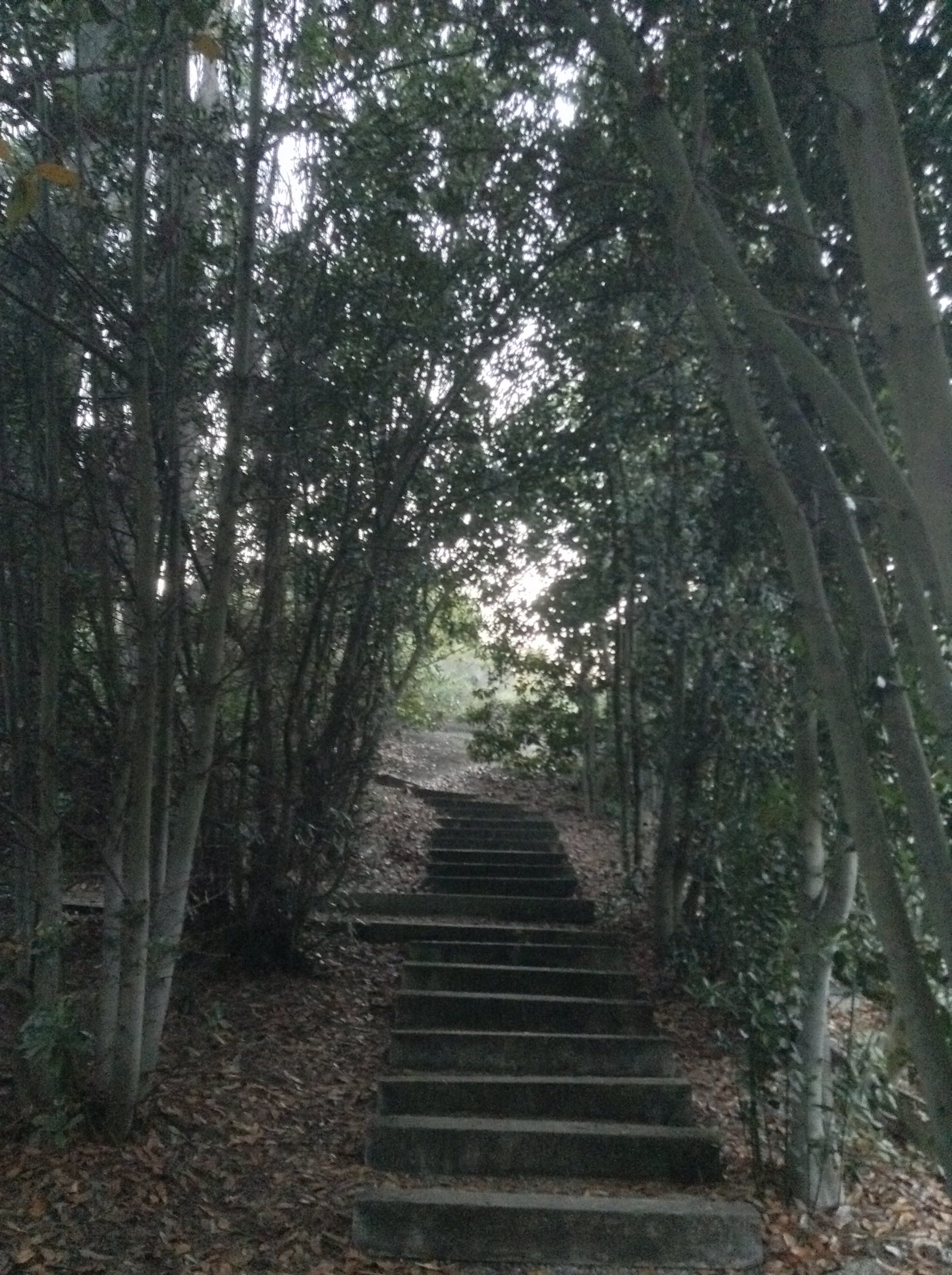 Niguel_Botanical_Preserve_0516-088-full-size.jpg