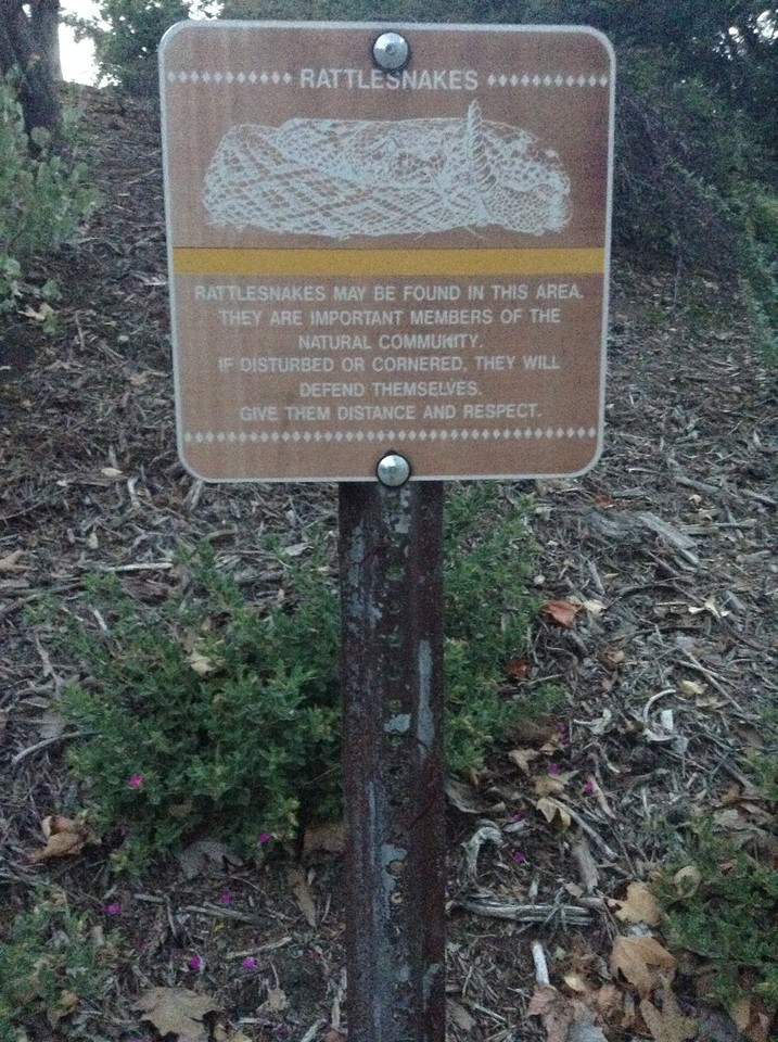 Niguel_Botanical_Preserve_0516-110-large.jpg